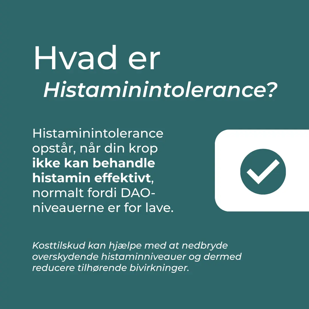 Produktbillede 3