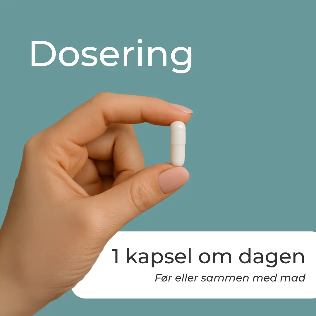 Produktbillede 6